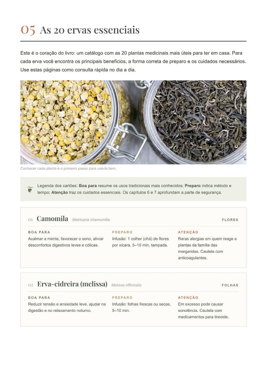 Capítulo 5 com os cartões das ervas, mostrando indicação, preparo e cuidados de cada planta