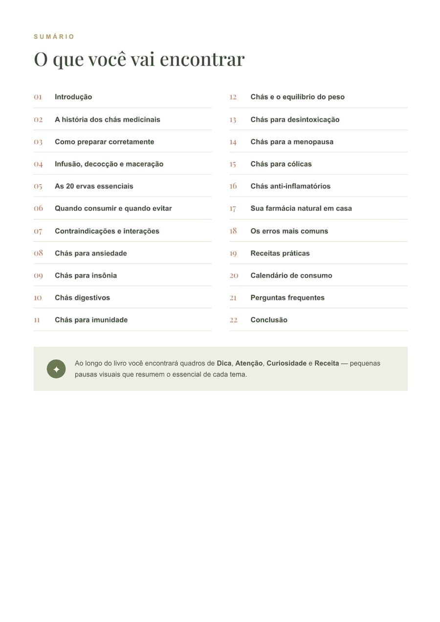 Sumário do e-book listando os 22 capítulos, da introdução à conclusão